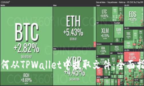 如何从TPWallet中提取文件：全面指南