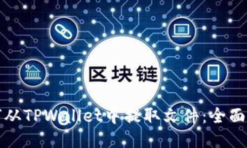 如何从TPWallet中提取文件：全面指南