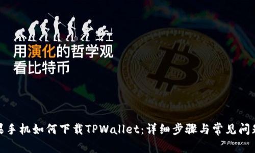 : 苹果手机如何下载TPWallet：详细步骤与常见问题解答