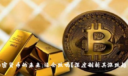 加密货币的未来：还会跌吗？深度剖析其涨跌趋势