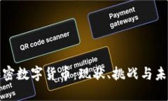 越南加密数字货币：现状