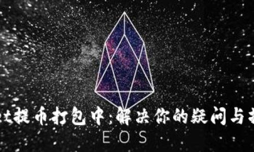TPWallet提币打包中：解决你的疑问与操作指南