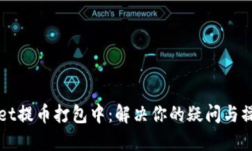 TPWallet提币打包中：解决你的疑问与操作指南
