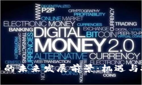 加密货币的未来发展前景：机遇与挑战并存