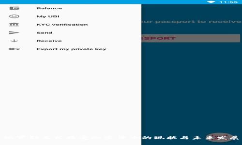 俄罗斯正式接受加密货币的现状与未来发展
