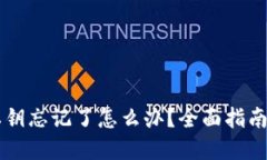 TPWallet私钥忘记了怎么办？