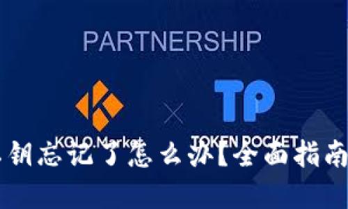 TPWallet私钥忘记了怎么办？全面指南与解决方案