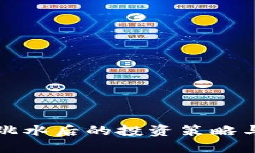 加密货币跳水后的投资策略与市场分析